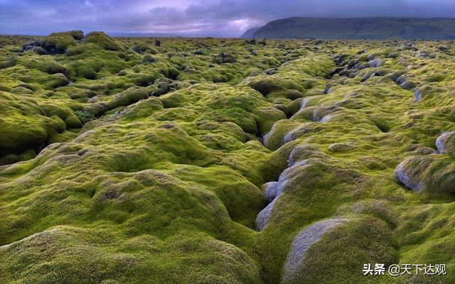 冰岛的地理位置以及邻国，北大西洋中的一个岛国