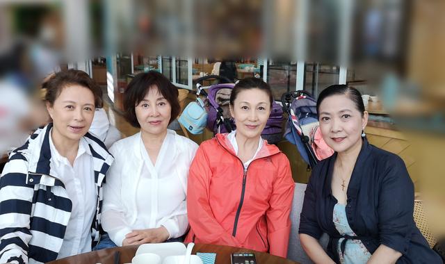 沈丹萍个人资料年龄，昔日同窗刘佳沈丹萍等四大美女罕见同框