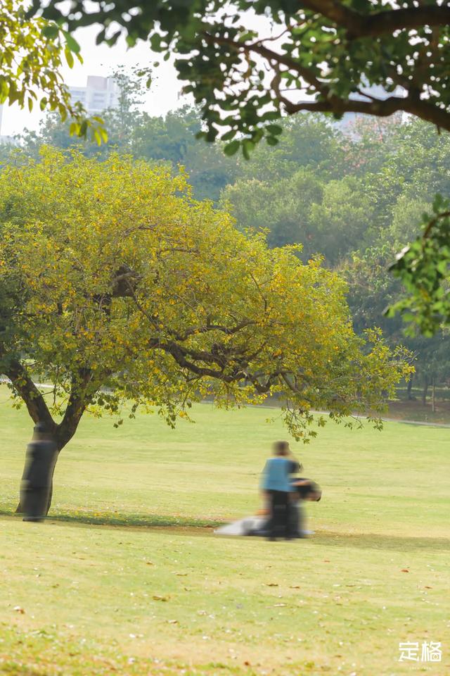 莲花山公园 网红打卡地，莲花山公园又红了