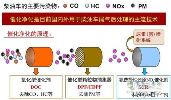 nf是什么英文缩写，各个国家和地区的英文缩写