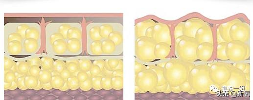 赵丽颖性感照片，赵丽颖马甲线写真集（性感女神赵丽颖 写真集）