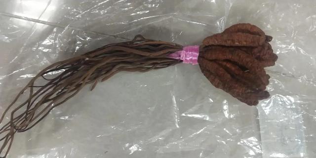 人工虫草与自然虫草区别，教你轻松辨别人工虫草和野生虫草