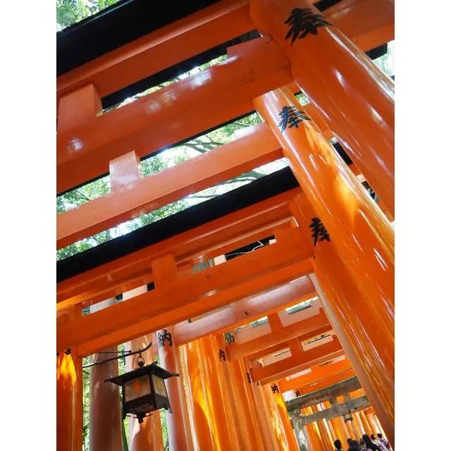日本值得去的10个景点，日本八大人气景点