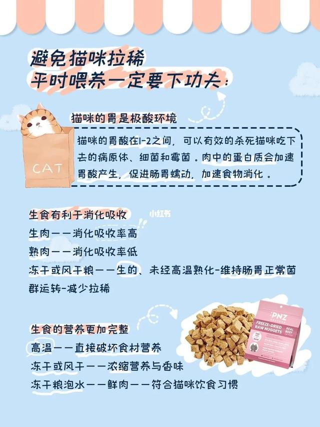 猫拉稀是什么原因导致的，猫咪拉稀的原因图解（猫常见的6种腹泻原因及应对措施）