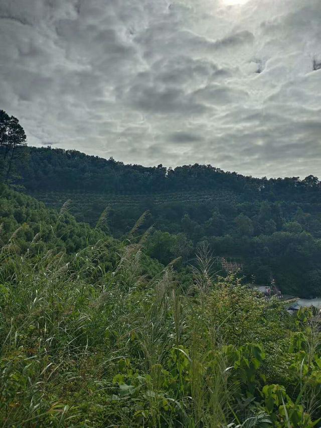 火炉山森林公园爬山多久，走进火炉山森林公园