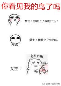 言情小说推荐 电竞文，五本甜上天的电竞文