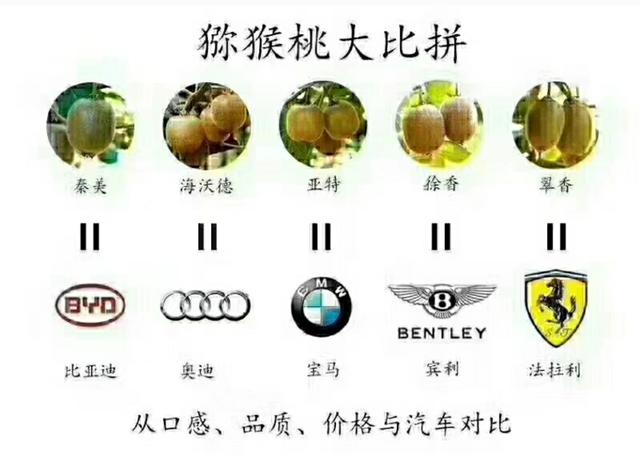 猕猴桃发源于哪个国家，猕猴桃的起源