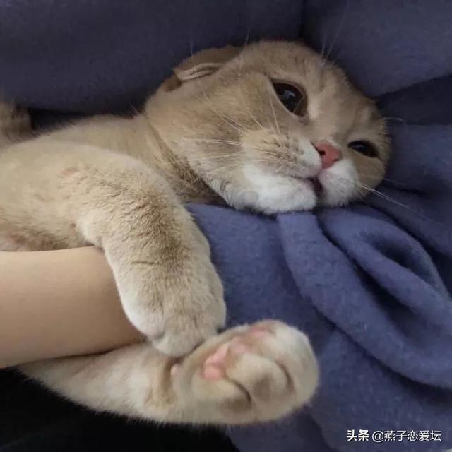 男生一直说你可爱是什么意思，女生说男生可爱是什么意思