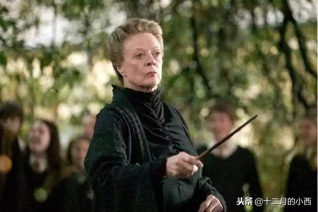 哈利波特实力排名，哈利波特中最强的防御魔法（闲聊：哈利波特喜爱角色排行）
