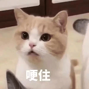七夕即将来临，女朋友的礼物准备好了吗？ 圣诞节送女朋友什么礼物