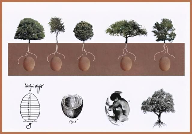 土葬多久会腐烂，土葬棺材里尸骨多少年腐烂（土葬的人从肉体变成白骨的时间大约是多久）