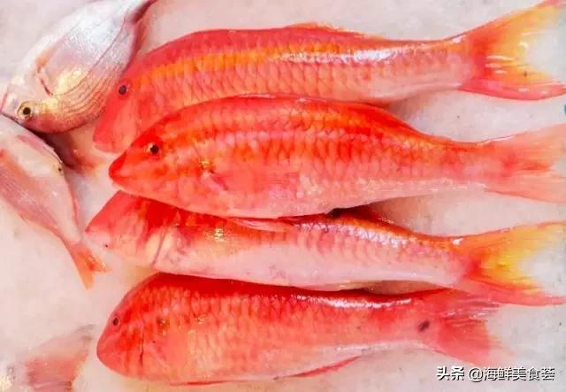 厦门特色海鲜排行榜，厦门人最喜欢的12种海鲜