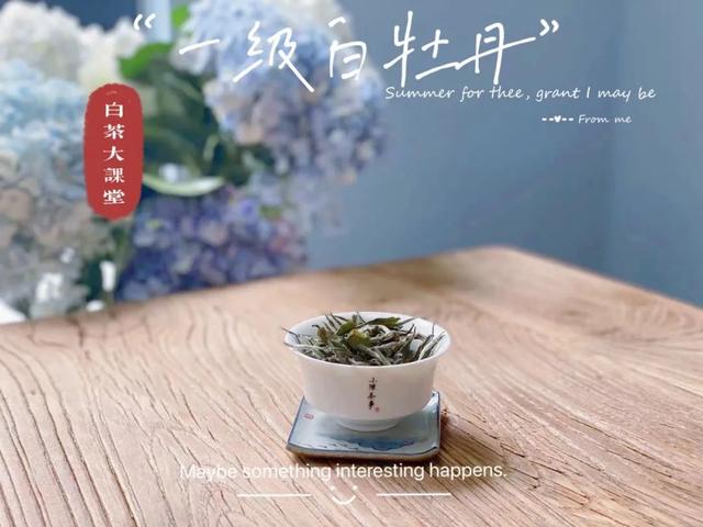 寿眉白茶怎么泡，如何冲泡白茶寿眉（图解白茶寿眉冲泡完整流程）