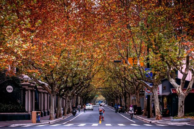 上海的老洋房故事，上海一幢70余年历史老洋房引发官司