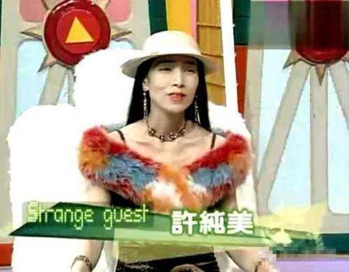 许纯美现在在哪里，2003年5婚5离的许纯美