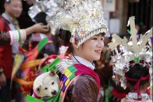 少数民族抬狗节，全世界最宠狗的民族