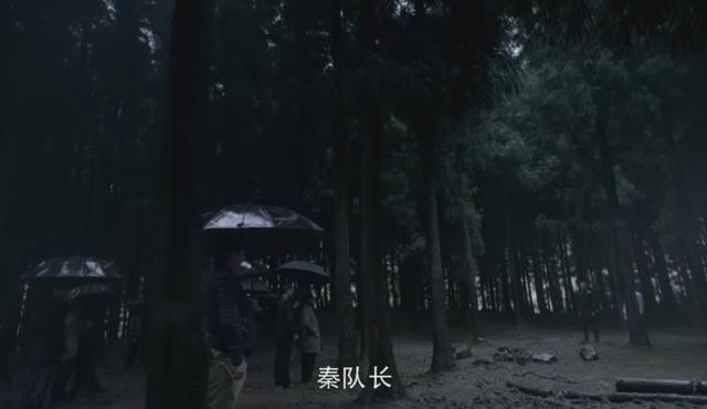 重生之特别案卷，最近新出的网剧破案