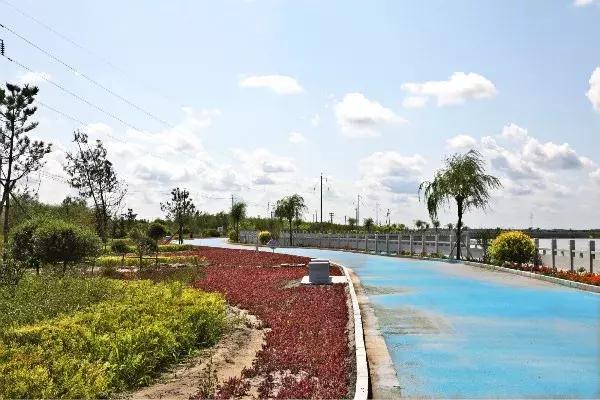 如意湖湿地公园游玩攻略，左中休闲好去处