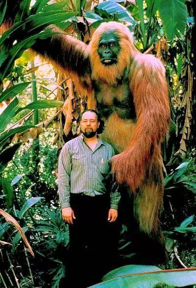 巨猿的体型对比，史前巨兽身高达3米