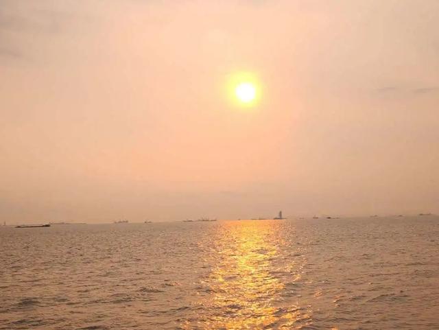 深圳宝安最美打卡点，深圳西湾红树林攻略