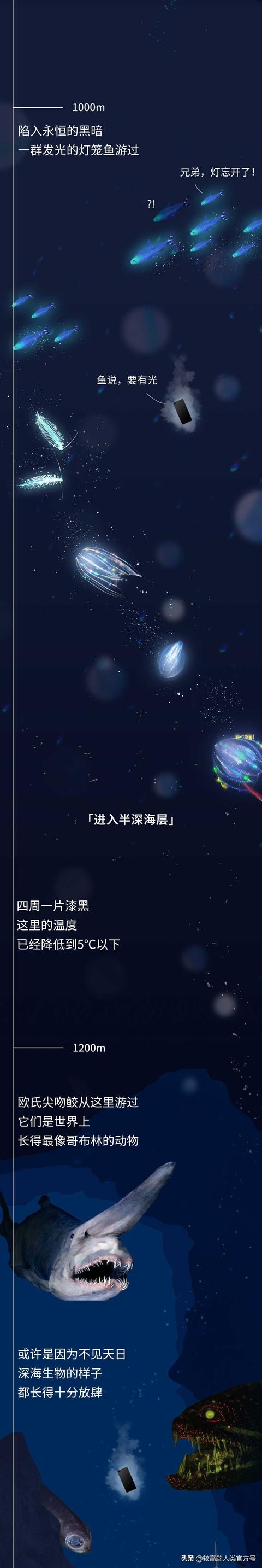 深海探秘16种奇特生物你见过几种，潜入海底一万米
