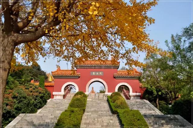 必打卡的宝藏美食，除了意大利面和披萨