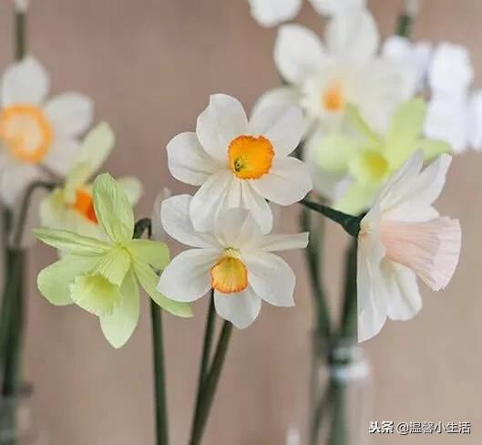 折水仙花教程，花卉折纸：水仙