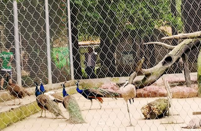 贵州六盘水旅游景点攻略图，六盘水是一个令人难忘的避暑城市