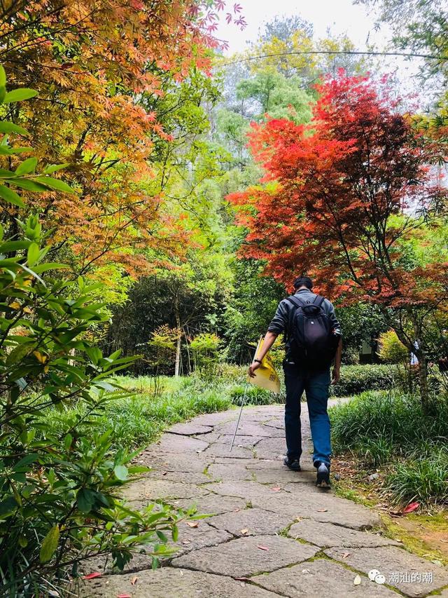 闽北之行武夷山一线天，武夷山旅记（武夷山：我家最窄仅30厘米）