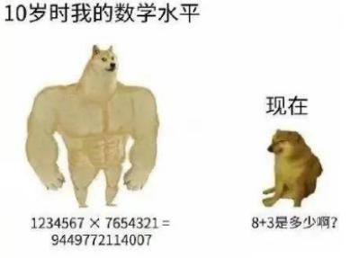 doge目瞪狗呆表情包，活在你表情包里的神烦狗Doge