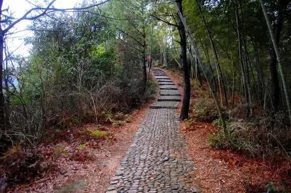 宁波有几个古道可以爬山的，宁波这11条登山健身步道你走过吗