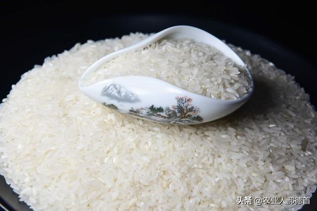 什么大米最好吃，五种公认好吃的东北大米（10种大米比较出名）