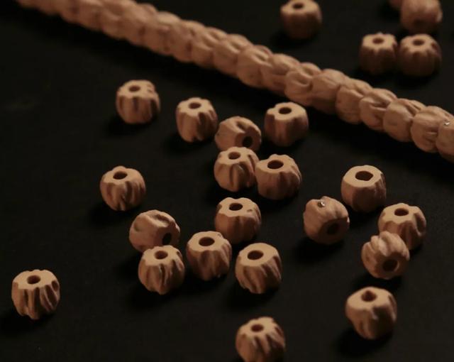 比较容易找到的树籽，不温不火的树籽