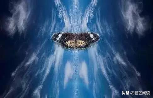 蝴蝶效应的原理，蝴蝶效应正确解读