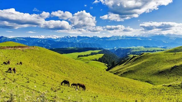湖南自驾一日游最佳景点，湖南这6条自驾游线路