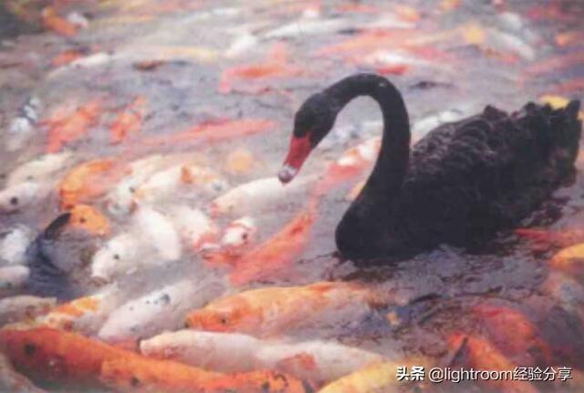 初学单反摄影技巧图解，请先从认识相机开始