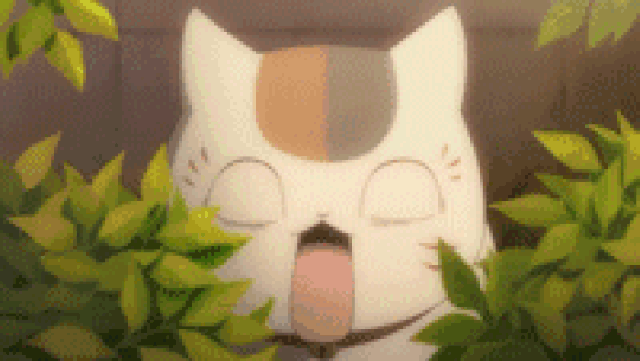 猫咪会抑郁吗有什么表现，辟谣猫都没心没肺