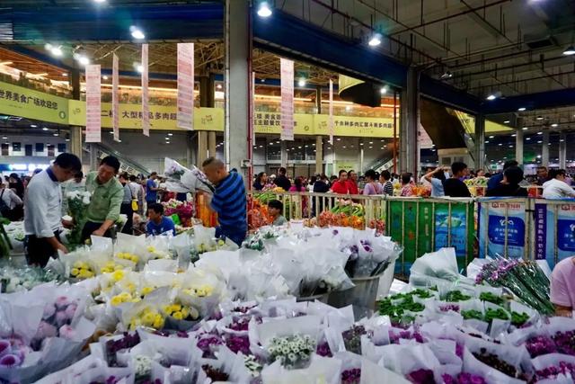 便宜又实惠的鲜花市场，打卡全国最大的鲜花批发市场