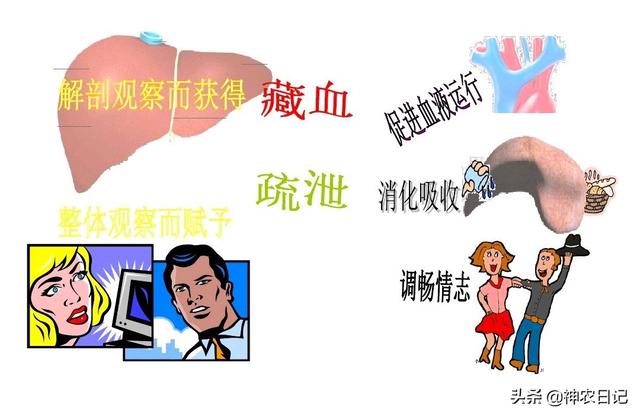 目赤是什么意思，肝火旺目赤是什么意思（清血八味片是药品还是保健品）
