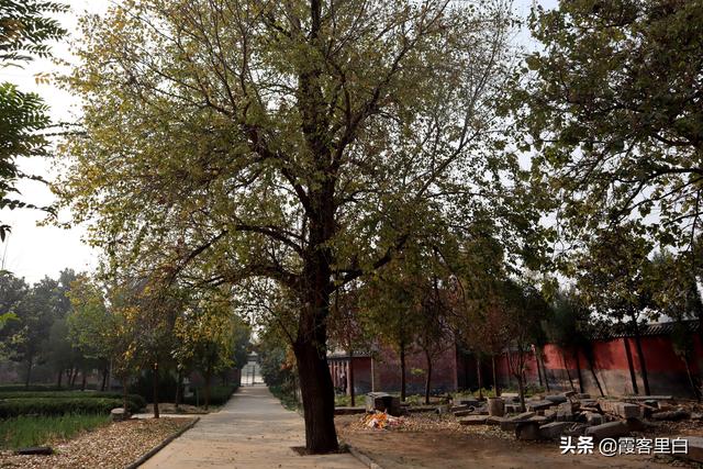 永清寺游玩攻略，许昌清真观一个小众