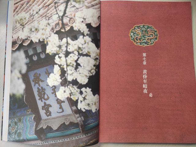 故宫初雪一夜梦回紫禁城，故宫初雪吸引了无数人