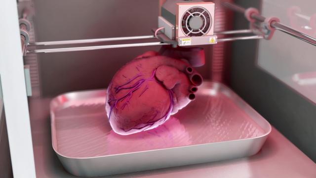 世界首例体细胞克隆猴，中国科学家创建世界首例生物节律紊乱体细胞克隆猴模型