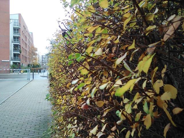 诺基亚800新手教程，户外运动爱好者可以入手