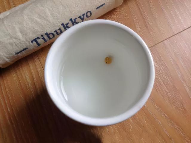 比较容易找到的树籽，不温不火的树籽