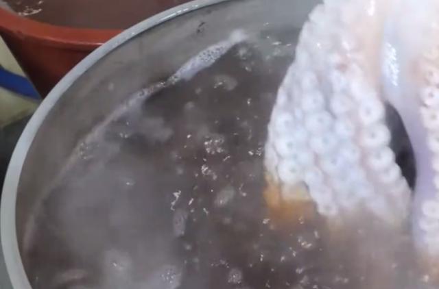 世界上最大的章鱼吃法，顶级厨师处理巨型大章鱼