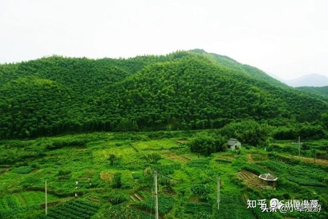 湖州三日游去哪里最好，湖州4-5日自由行推荐路线\u0026玩法
