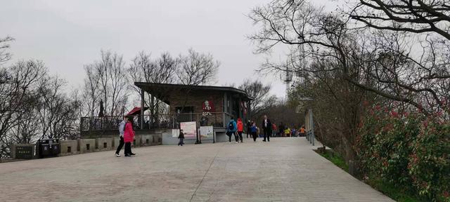 南京紫金山登山路径，南京紫金山登山线路攻略