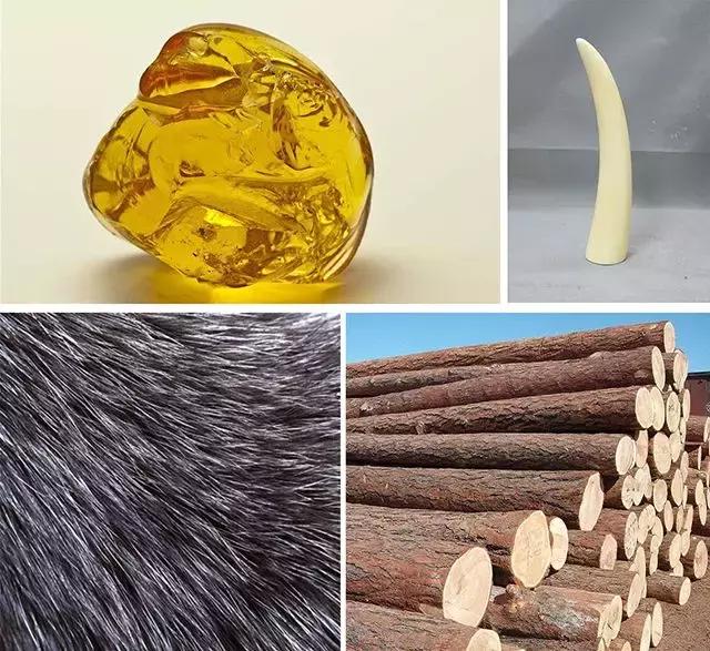 百变马丁叫什么名字，百变马丁-动漫IP＋儿童美育