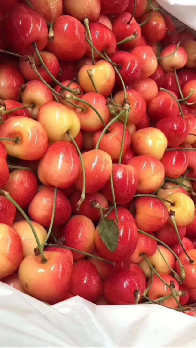 cherry和樱桃的区别，Cherry车厘子最简单的基本知识