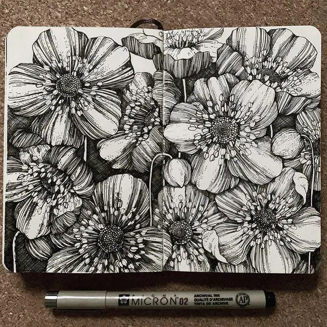 妙笔生花水墨画教程，教科书级别的植物线描